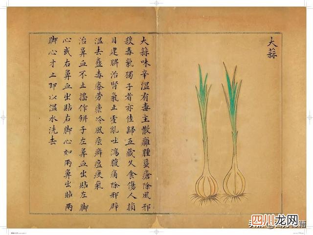 清代王鉴绘画作品 宋王介手绘古籍，内容少见值得收藏！
