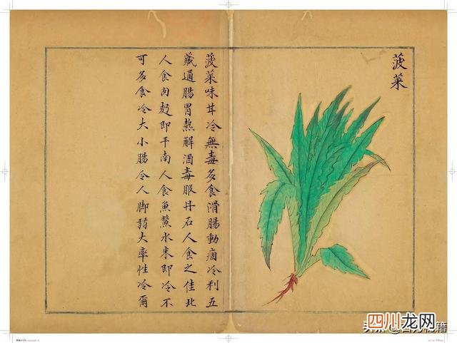 清代王鉴绘画作品 宋王介手绘古籍，内容少见值得收藏！