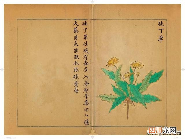 清代王鉴绘画作品 宋王介手绘古籍，内容少见值得收藏！