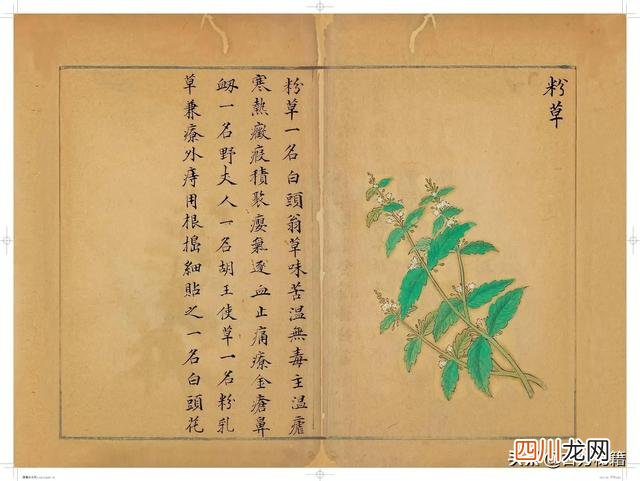清代王鉴绘画作品 宋王介手绘古籍，内容少见值得收藏！