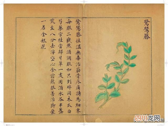 清代王鉴绘画作品 宋王介手绘古籍，内容少见值得收藏！
