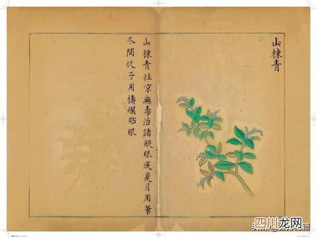 清代王鉴绘画作品 宋王介手绘古籍，内容少见值得收藏！