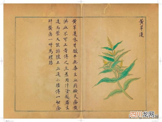 清代王鉴绘画作品 宋王介手绘古籍，内容少见值得收藏！