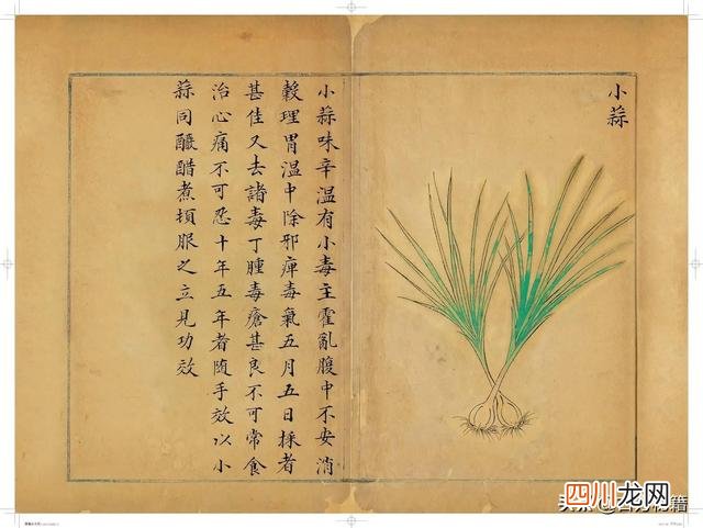 清代王鉴绘画作品 宋王介手绘古籍，内容少见值得收藏！