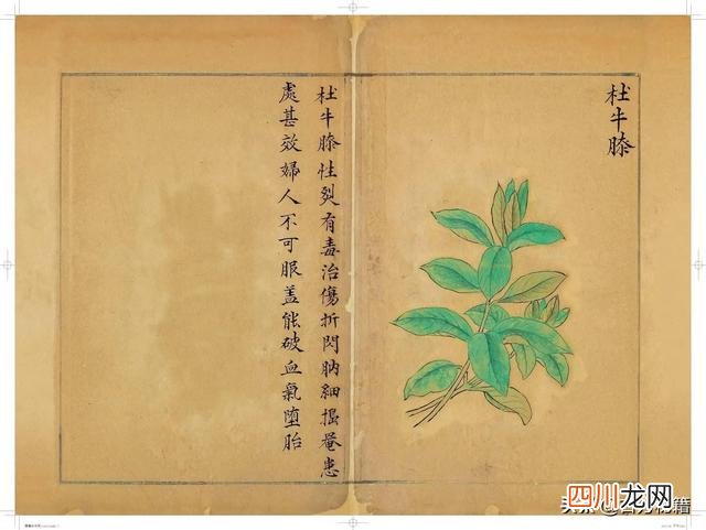 清代王鉴绘画作品 宋王介手绘古籍，内容少见值得收藏！