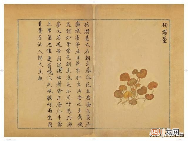 清代王鉴绘画作品 宋王介手绘古籍，内容少见值得收藏！