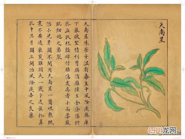 清代王鉴绘画作品 宋王介手绘古籍，内容少见值得收藏！