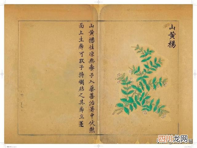 清代王鉴绘画作品 宋王介手绘古籍，内容少见值得收藏！