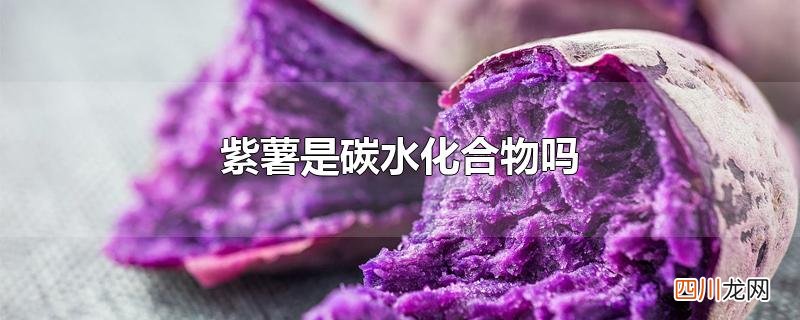 紫薯是碳水化合物吗