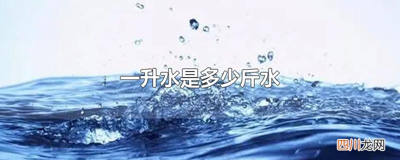 一升水是多少斤水