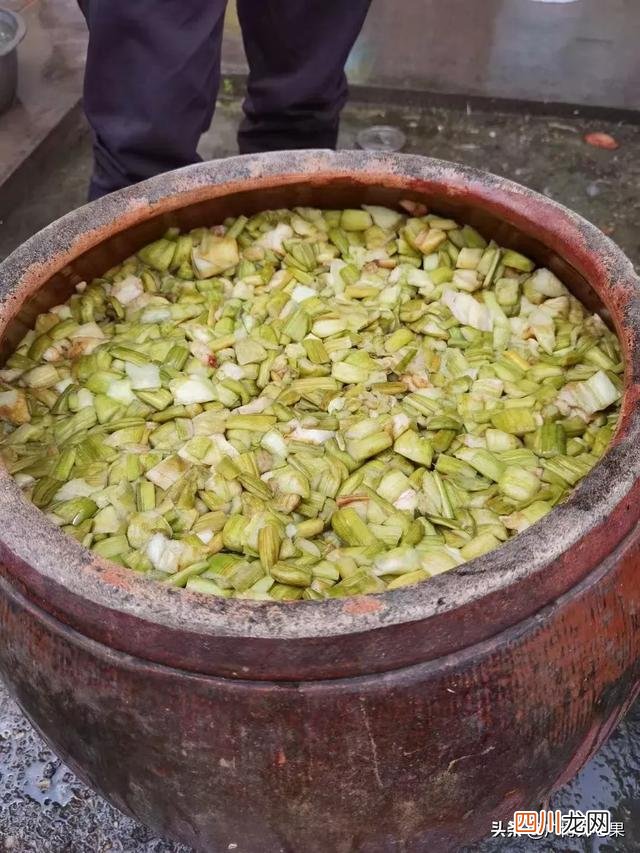 种植什么挣钱 在农村种植什么赚钱快