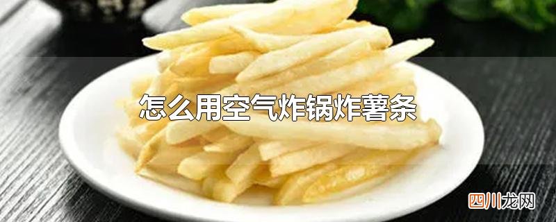 怎么用空气炸锅炸薯条