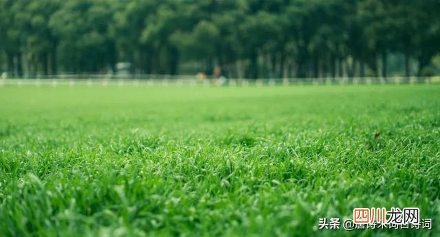 冬去春来,草长莺飞 春草生，情思长