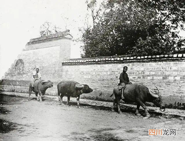 罕见老照片：清末福州街头辛苦谋生的劳动者，个个消瘦