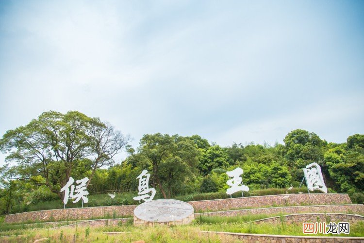逍遥自在九江行，江湖一笑浪滔滔