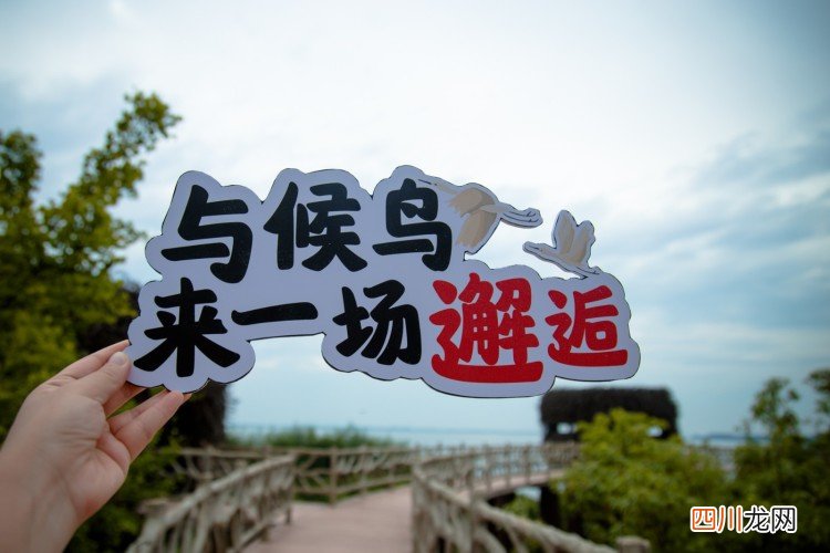 逍遥自在九江行，江湖一笑浪滔滔