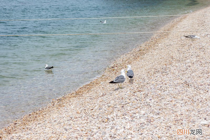 「KK旅行酱」出逃吧夏日 | 带娃去长岛收集海浪、繁星和童话