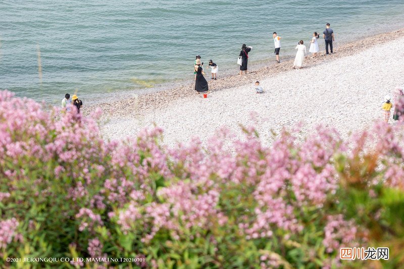 「KK旅行酱」出逃吧夏日 | 带娃去长岛收集海浪、繁星和童话
