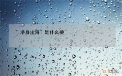 “净身出海”是什么梗
