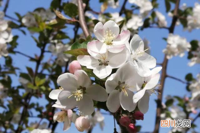 如何找一个榜样对标 职场如何寻找榜样、锁定对标人物？
