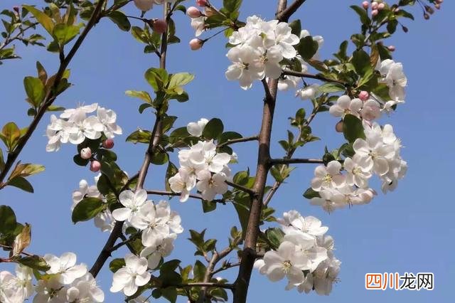 如何找一个榜样对标 职场如何寻找榜样、锁定对标人物？