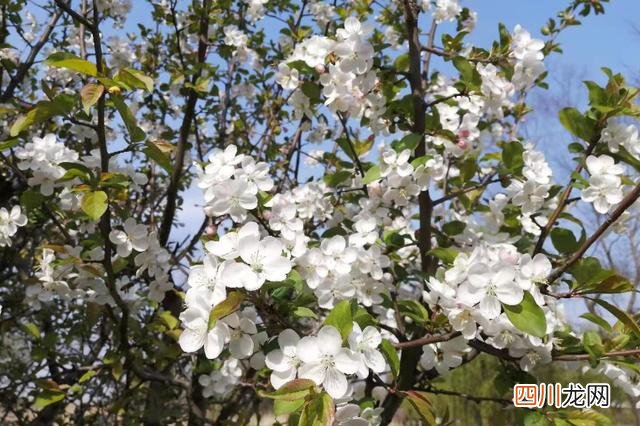 如何找一个榜样对标 职场如何寻找榜样、锁定对标人物？