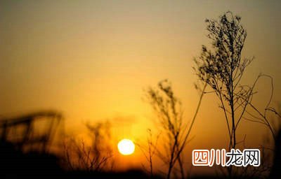 那些唯美的句子：梦里有你，香甜无比