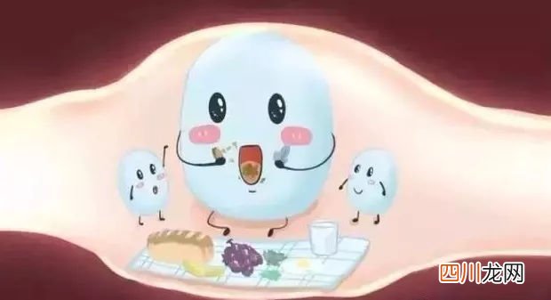 益生菌的作用与功效，看完您还敢滥用抗生素吗！