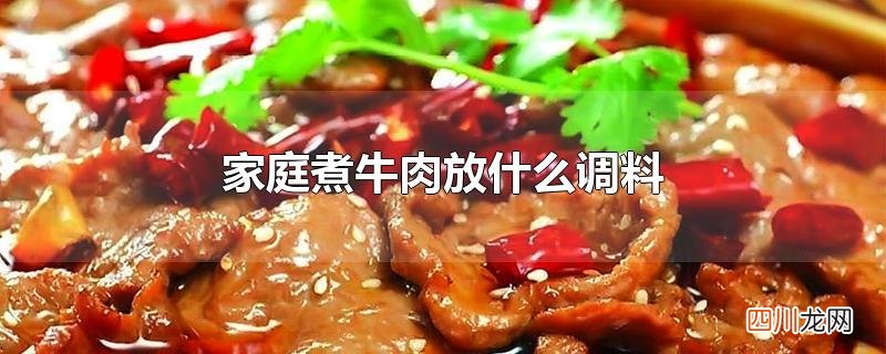 家庭煮牛肉放什么调料