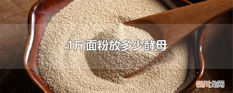 1斤面粉放多少酵母
