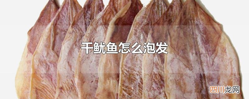 干鱿鱼怎么泡发