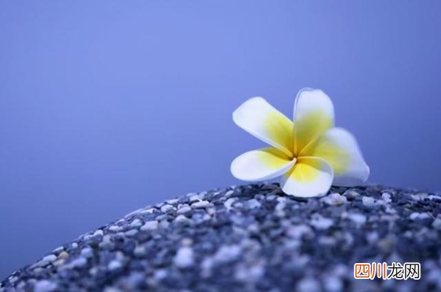 怎么做个有城府的人 人过五十，做一个有城府的人