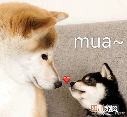 3.8妇女节祝福送给妈妈的话  妇女节送给妈妈说的话