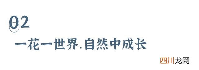 给弟弟妹妹造桥、建“回忆博物馆”，这里的孩子真的“很行”