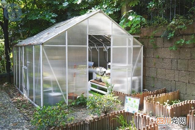 给弟弟妹妹造桥、建“回忆博物馆”，这里的孩子真的“很行”