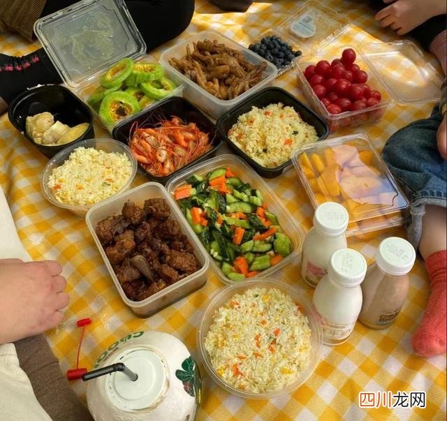 网友晒周末野餐照片，一个比一个离谱，看到最后：忍不住笑出鹅叫
