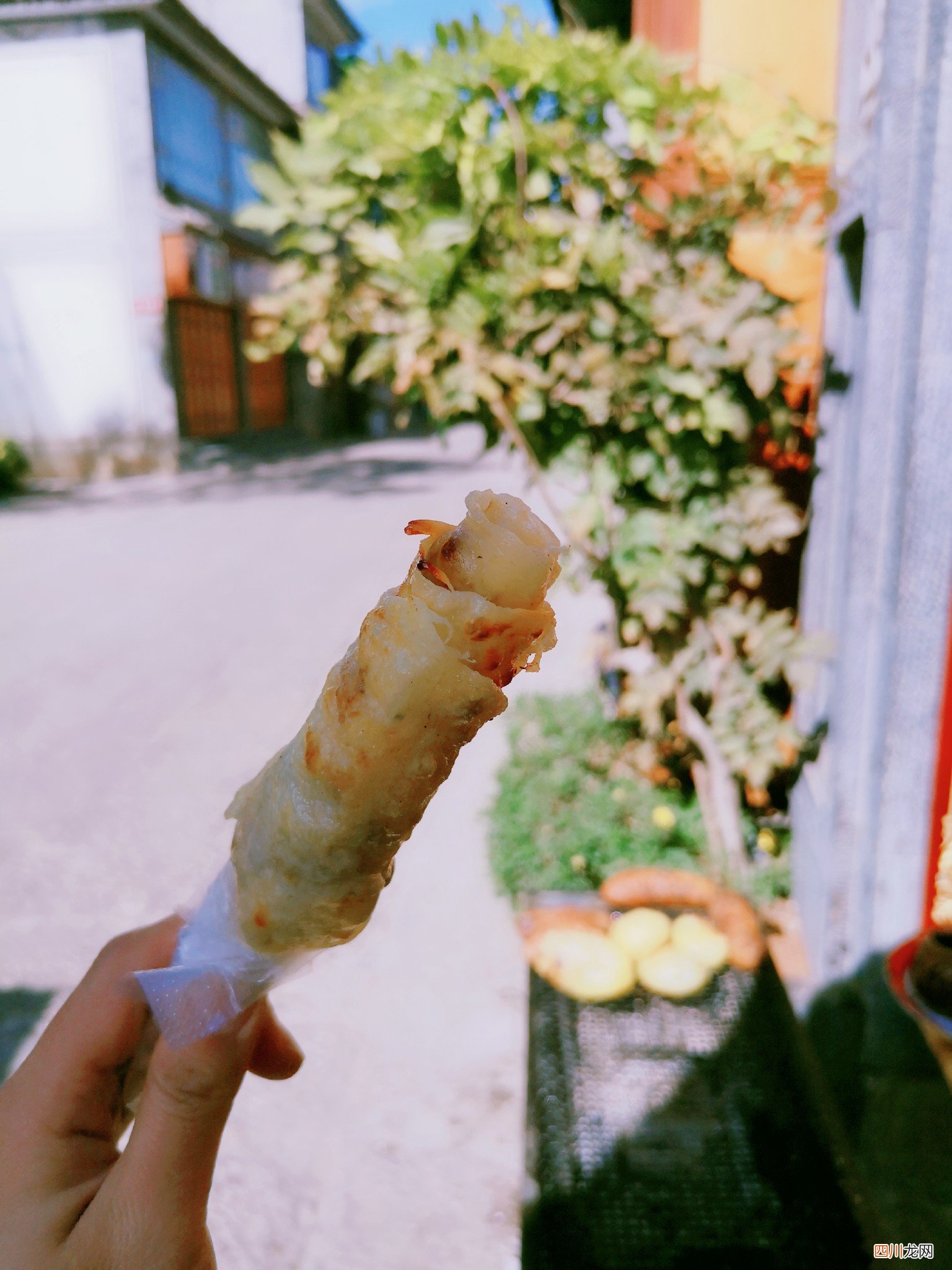 四川成都旅游攻略七日游自由行：冬日独行大云南，4天逛吃逛吃逛吃吃~~~