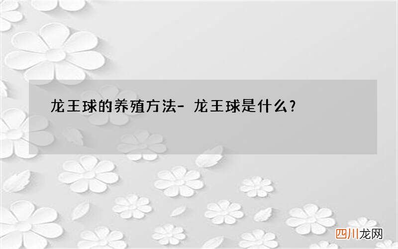 龙王球的养殖方法-龙王球是什么？