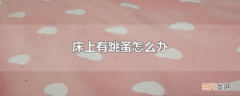 床上有跳蚤怎么办
