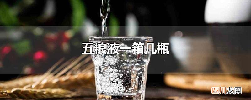 五粮液一箱几瓶