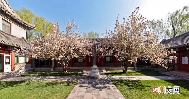 世界古树树龄排名 全球古树最多的城市选树王，第一名3500岁，要9个人才能抱拢