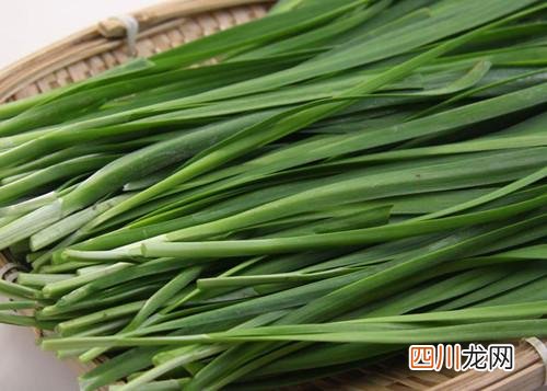 韭黄和韭菜有什么区别 韭黄是什么中出来的