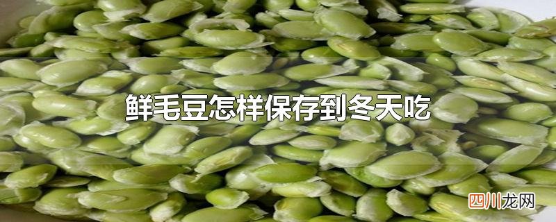 鲜毛豆怎样保存到冬天吃