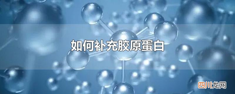 如何补充胶原蛋白