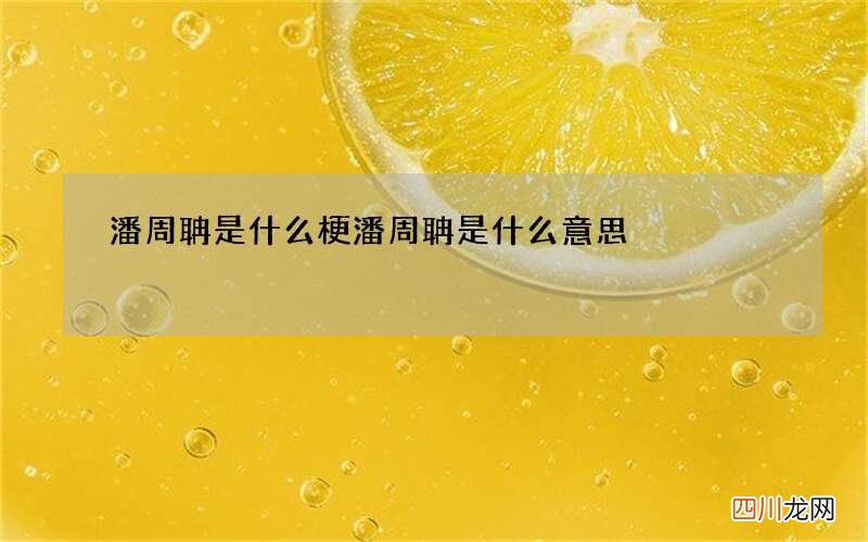 潘周聃是什么梗 潘周聃是什么意思