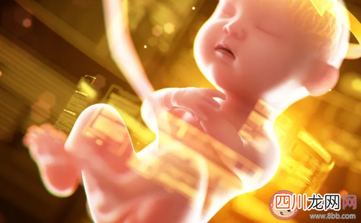 园丁式的父母应该怎么做 园丁式教育的正确方法