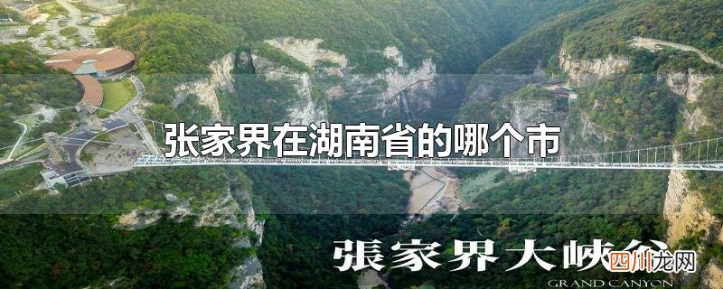 张家界在湖南省的哪个市