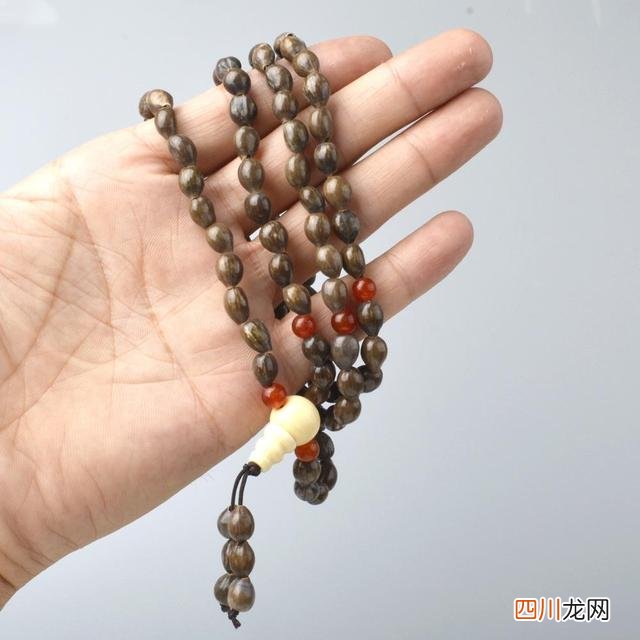 这种“菩子”即将绝种，文玩人却不知珍惜，包浆后真美！