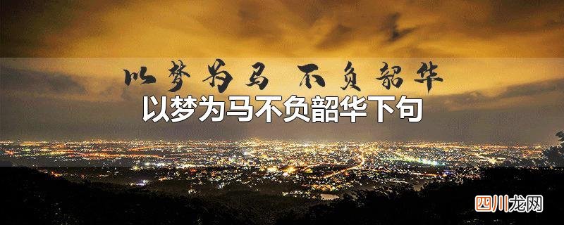 以梦为马不负韶华下句