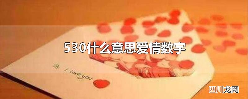 530什么意思爱情数字
